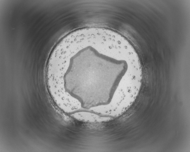 X0000082990856200702160022