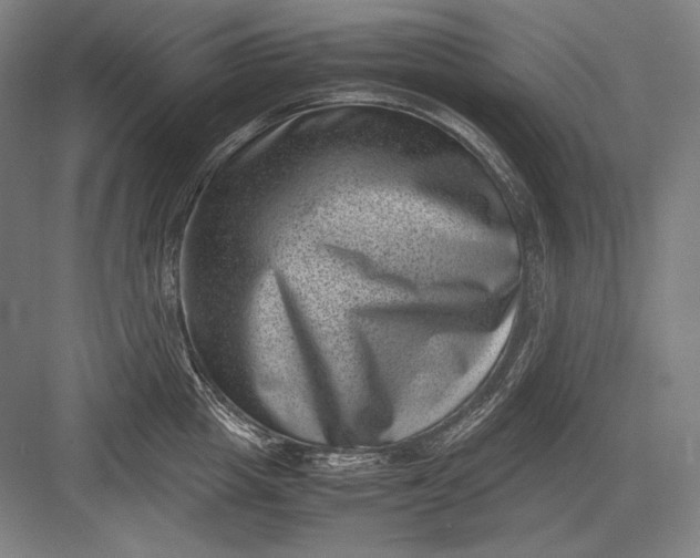 X0000082990857200702160022