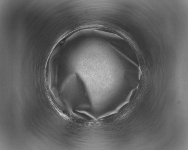 X0000082990858200702160022