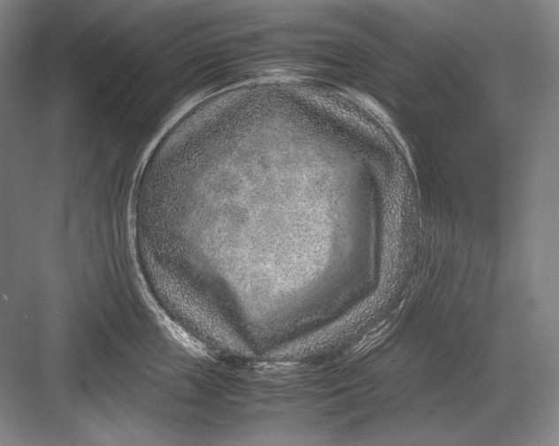 X0000082990859200702160022