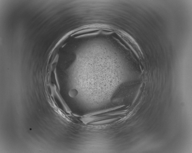 X0000082990860200702160022