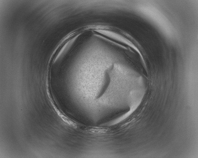 X0000082990861200702160022