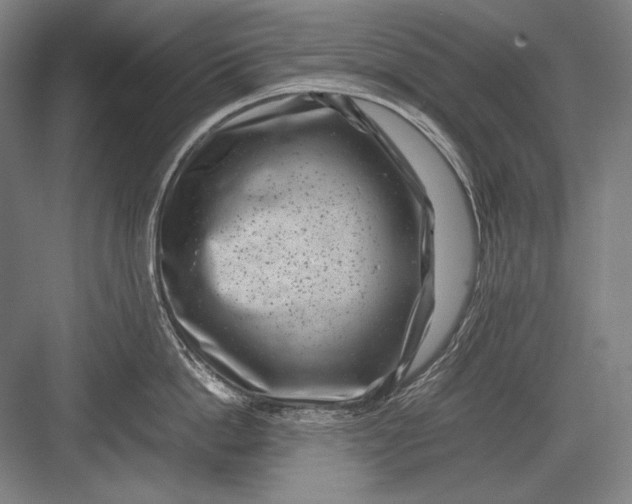 X0000082990862200702160022