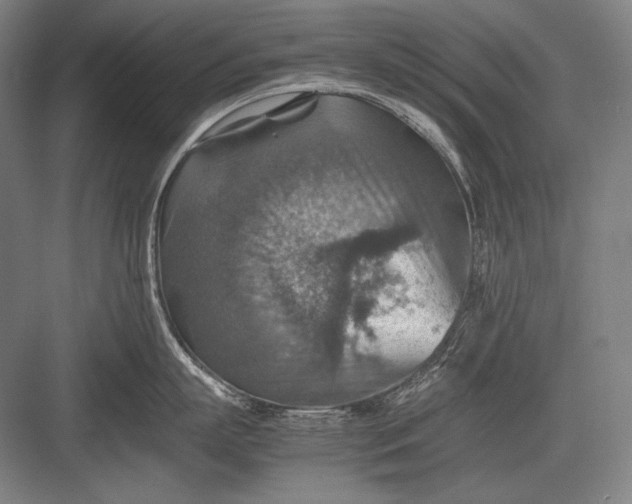 X0000082990863200702160022