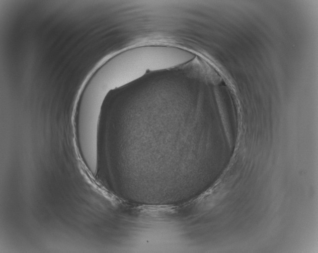 X0000082990864200702160022