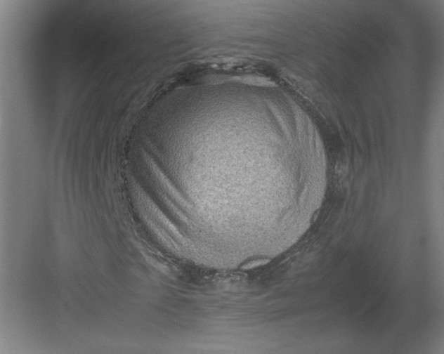 X0000082990865200702160021