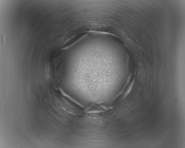 X0000082990866200702160021