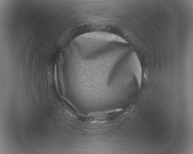 X0000082990867200702160021