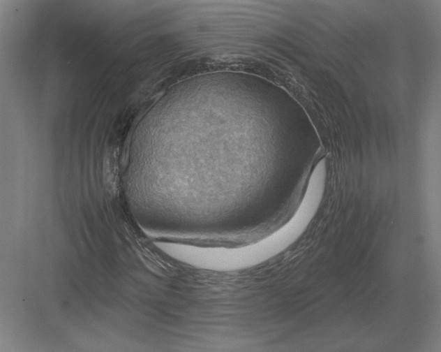 X0000082990868200702160021