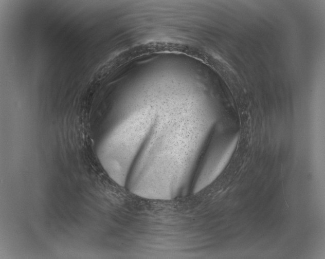 X0000082990870200702160021