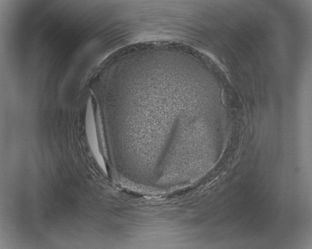 X0000082990871200702160021