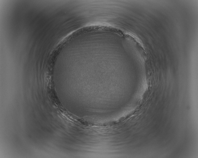 X0000082990872200702160021