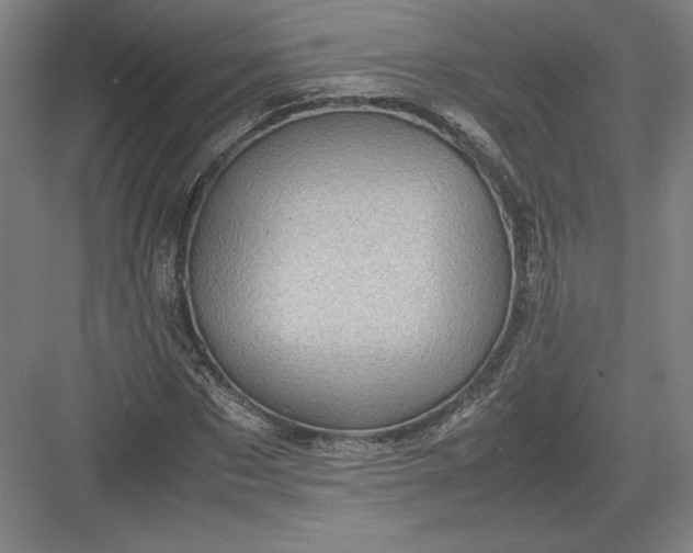 X0000082990873200702160021