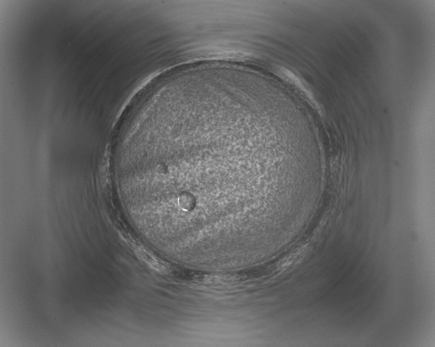 X0000082990875200702160021