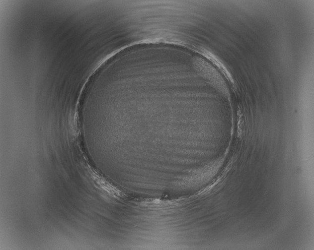 X0000082990876200702160021