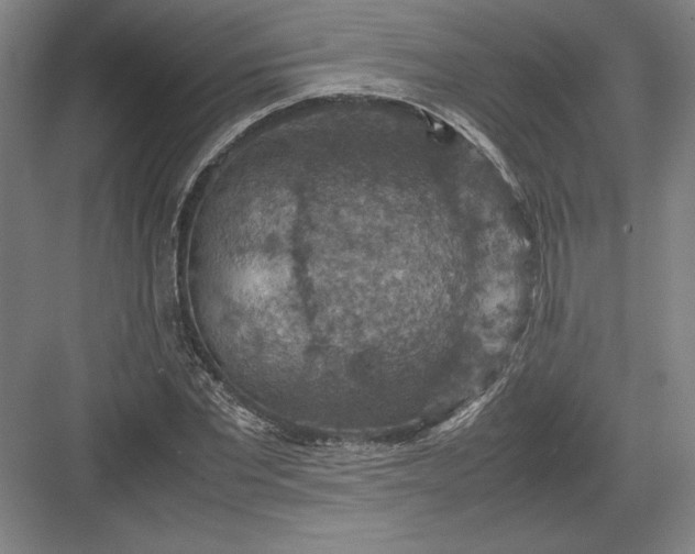 X0000082990877200702160021