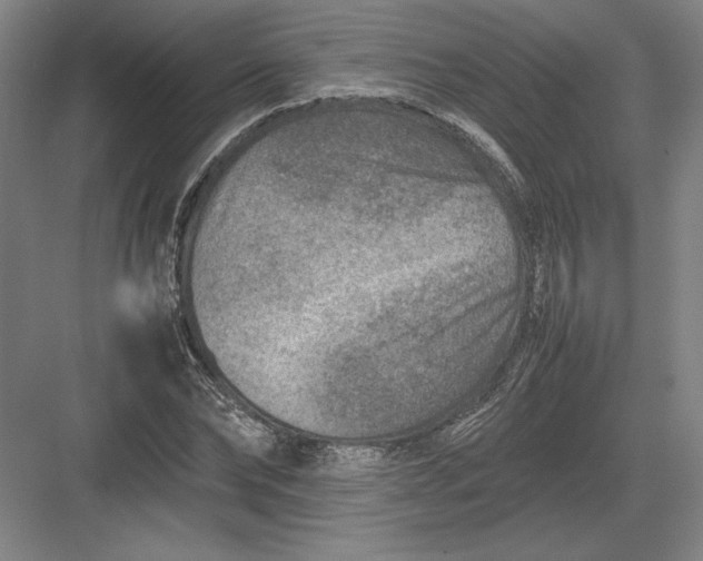 X0000082990878200702160021