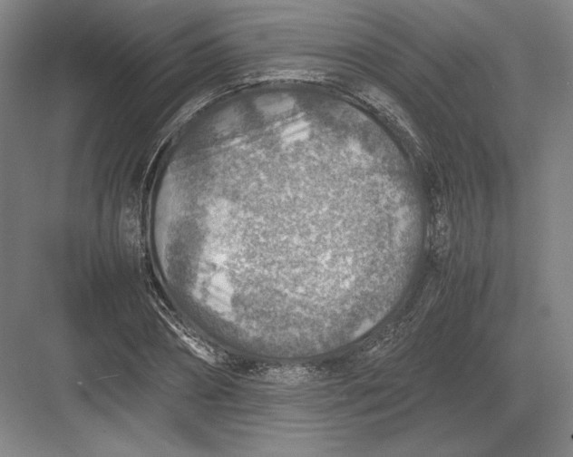 X0000082990882200702160021