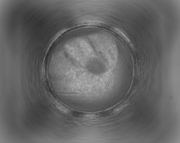 X0000082990883200702160021