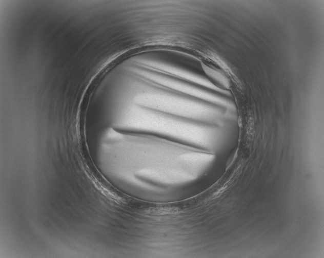 X0000082990884200702160021