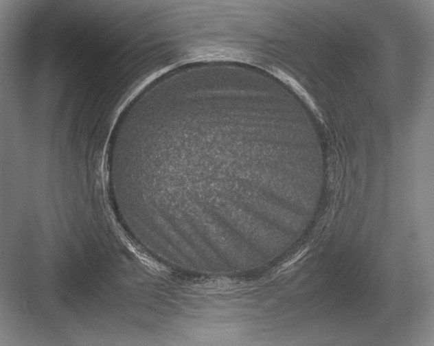 X0000082990885200702160021