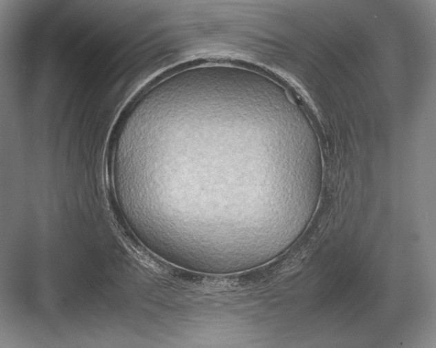 X0000082990887200702160021