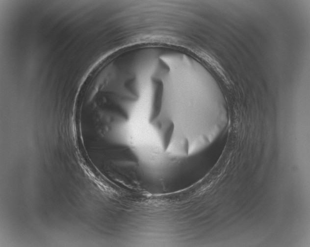 X0000082990888200702160021