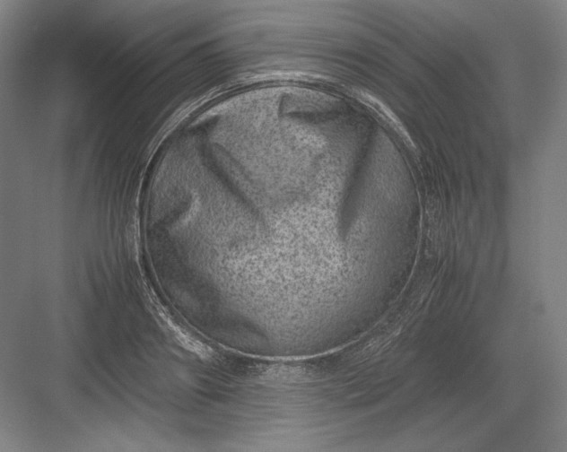 X0000082990890200702160021