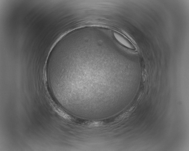 X0000082990891200702160020