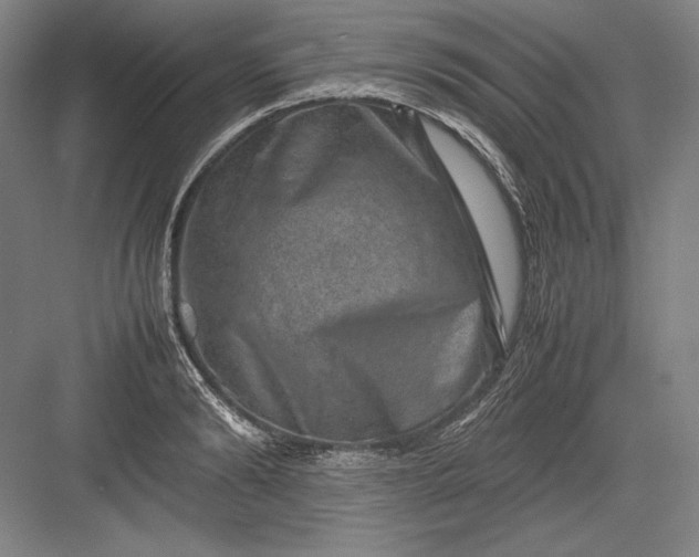 X0000082990894200702160020