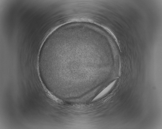 X0000082990895200702160020