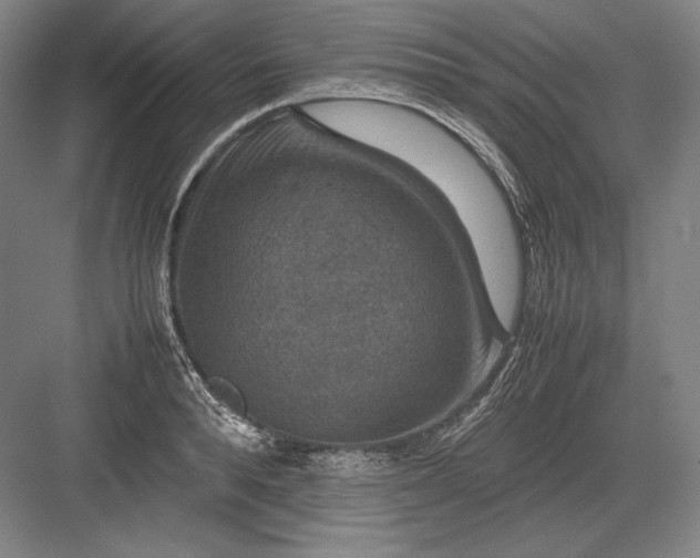 X0000082990896200702160020