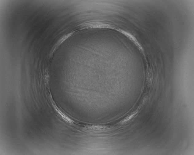 X0000082990897200702160020