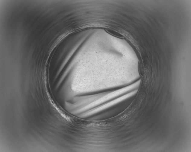 X0000082990898200702160020