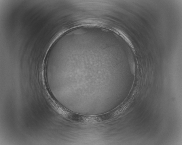 X0000082990899200702160020