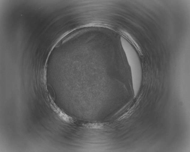 X0000082990900200702160020