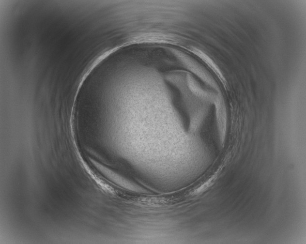 X0000082990901200702160020