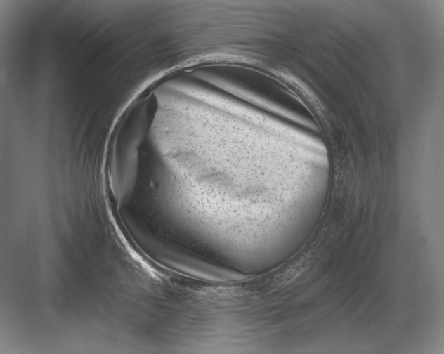 X0000082990902200702160020