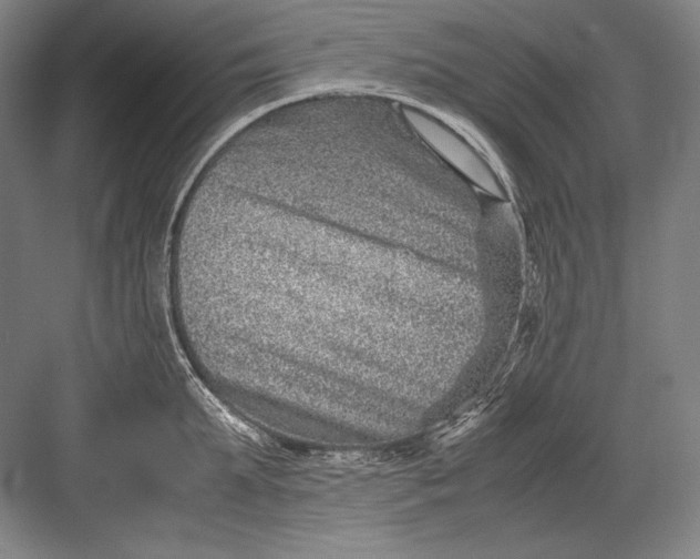 X0000082990903200702160020