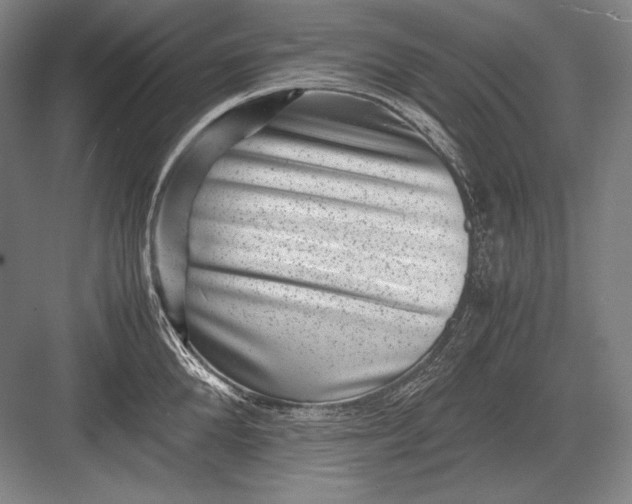 X0000082990904200702160020