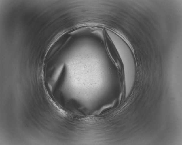 X0000082990906200702160020