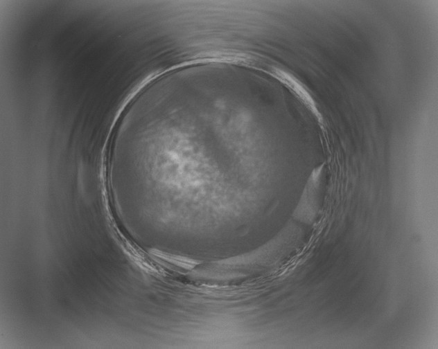 X0000082990907200702160020