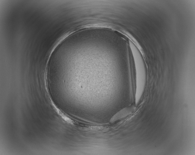 X0000082990909200702160020