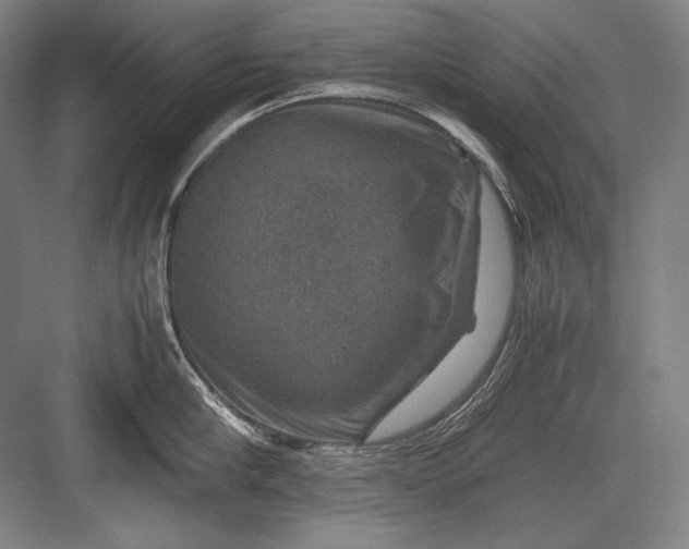 X0000082990910200702160020