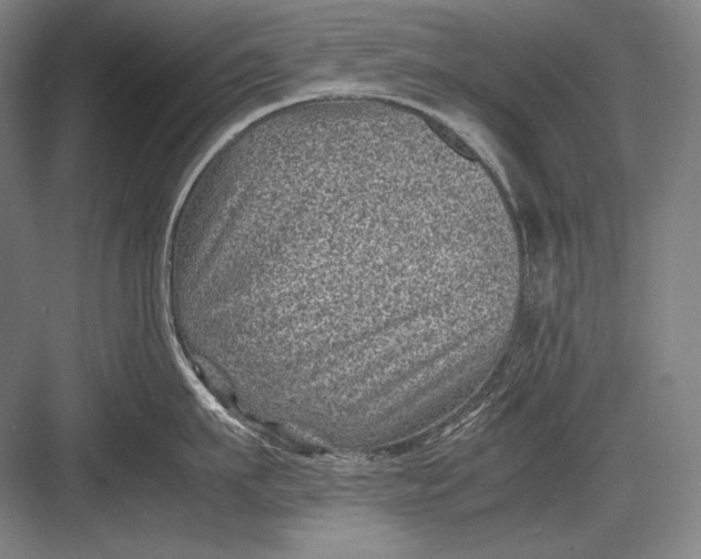 X0000082990911200702160020