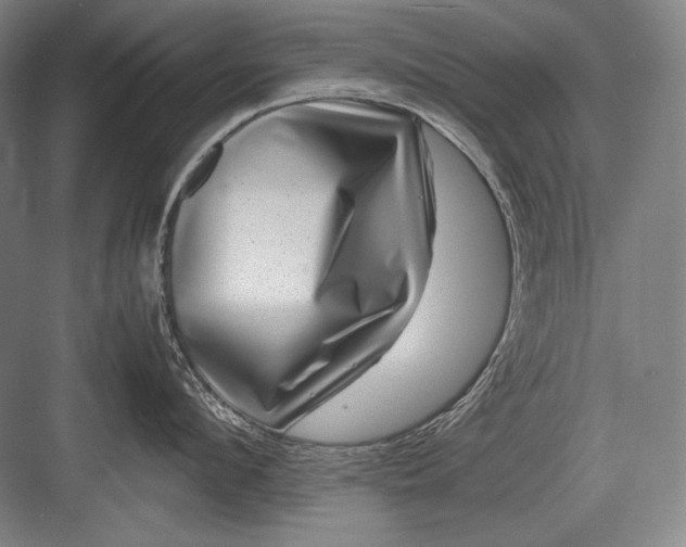 X0000082990912200702160020