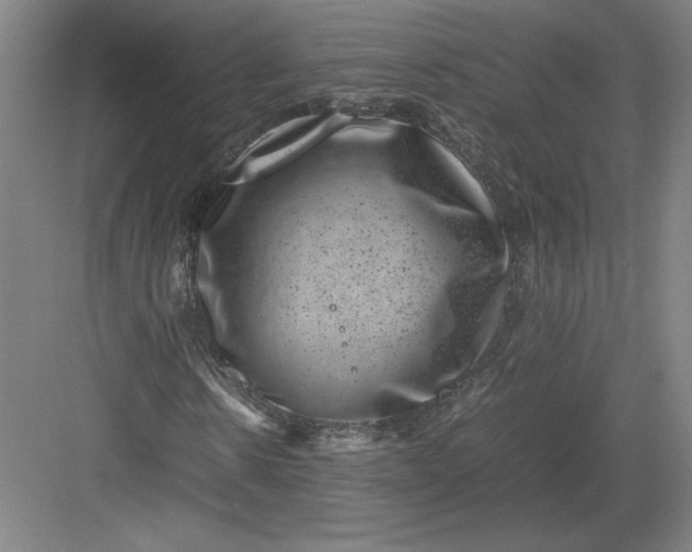 X0000082990914200702160019