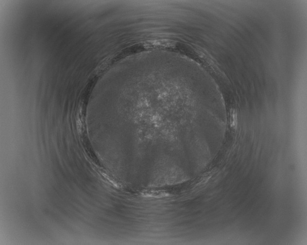 X0000082990915200702160019