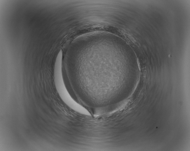 X0000082990916200702160019