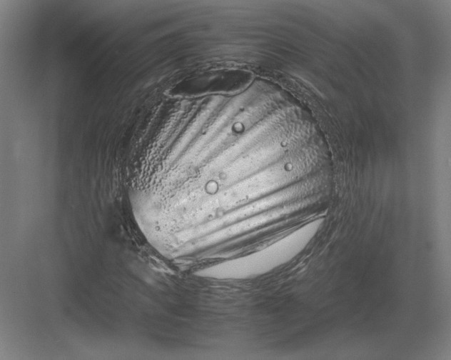 X0000082990917200702160019